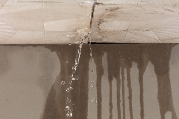 Professional Burst Pipe Cleanup technician working in Bloomingdale, GA